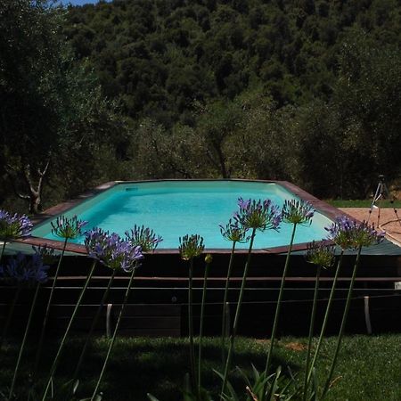 Il Pino Bed and Breakfast Vetulonia Εξωτερικό φωτογραφία