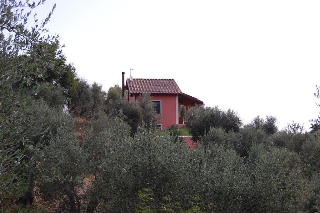 Il Pino Bed and Breakfast Vetulonia Εξωτερικό φωτογραφία