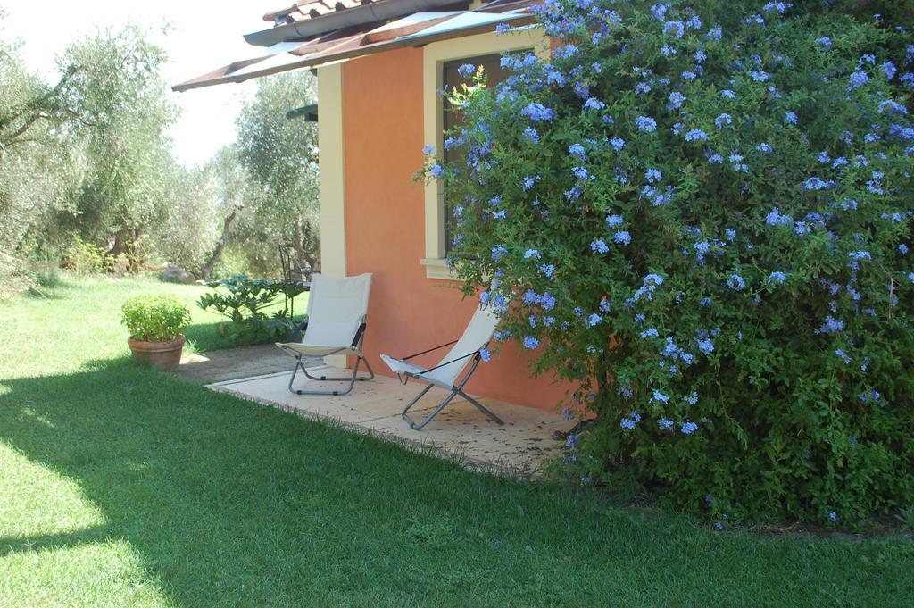 Il Pino Bed and Breakfast Vetulonia Δωμάτιο φωτογραφία