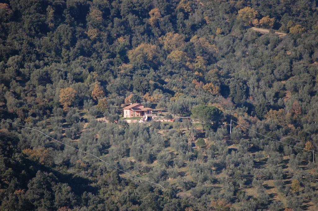 Il Pino Bed and Breakfast Vetulonia Εξωτερικό φωτογραφία