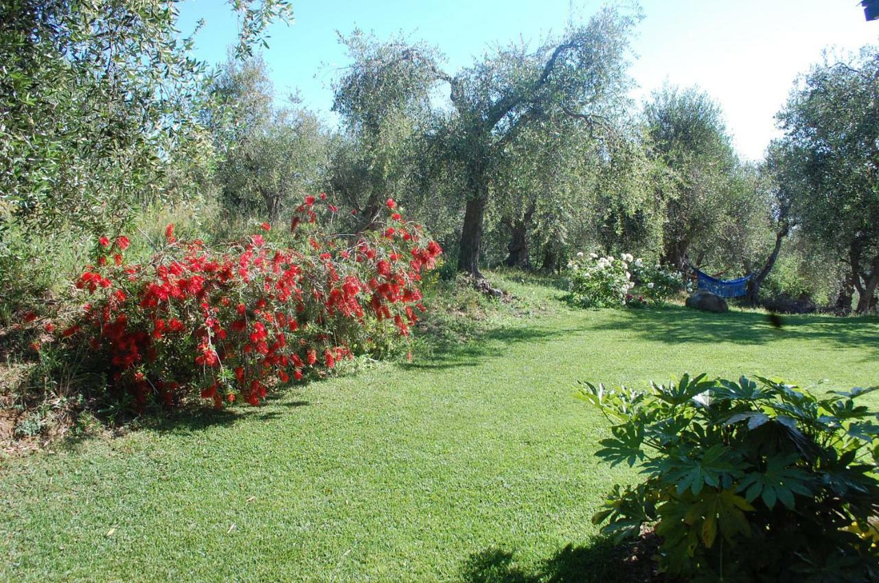 Il Pino Bed and Breakfast Vetulonia Εξωτερικό φωτογραφία